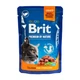 Вологий корм із лососем для стерилізованих котів Brit Premium Cat Salmon Sterilized, 100 гр - зображення 1