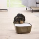 Поилка-фонтан для котов Savic Volcano Drinking Fountain, 2.5 л - изображение 2