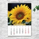Календарь настенный перекидной КРАСОТА ЦВЕТОВ 2027 13 ЛИСТОВ ENTERSTORE 42х29.7 см (ART 250120) - изображение 9