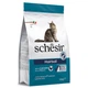 Корм Schesir Cat Hairball сухий монопротеїновий для котів з довгою шерстюна з м'ясом курки 1,5 кг - зображення 2