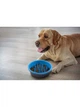 Миска для медленного кормления Dexas Slow Feeder Dog Bowl 1.44 л голубой - изображение 2