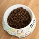 Корм Brit Premium by Nature Cat Sterilized Lamb сухой с ягненком для взрослых стерилизованных котов 0.3 кг - изображение 2