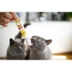 Паста GimCat DUO PASTE Multi-vitamin 12 vitamins with cheese для котів усіх порід 12 вітамінів та сир 50г - изображение 2
