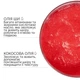 Парфумований скраб жуйка для очищення тіла з ароматом вишні Juicy Cherry Reclaire cosmetics 200 мл - зображення 3
