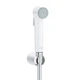 Гігієнічний душ GROHE TEMPESTA-F 26356IL0, хром, настінний - изображение 1