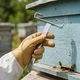 Пасические держатели для рамок 2 шт в комплекте - изображение 3
