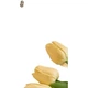 Детский круглый ковер Yinshang из овечьей шерсти, коврик для спальни и гостиной, подставка под ножки детского стула и книжной полки, 100 см. - изображение 2