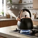 Czajnik Vilde z gwizdkiem stalowy czarny 2.8 l (5900670107885) - obraz 6