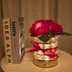 Настольная лампа LED ночник Lesko Rose Crystal YW-MGYZSJP Red в виде букета роз - изображение 2