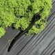 Дерев'яна шпилька для волосся ручної роботи з натурального дерева у східному стилі - зображення 1