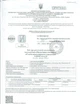 Перга натуральная пчелиная "Пчелиный хлеб" 100г (урожай 2026г) - изображение 4