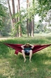 Гамак Tribe Hammock T-LE-0002 295 х 148 см Bordo (T-LE-0002-bordo) - изображение 6