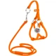 Круглая кожаная шлея WAUDOG Glamour N1 с поводком для кошек и мелких собак 105 см 6 мм Оранжевая (34014) - изображение 1