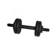 Гантель наборная литая Newt 4,5 кг NE-300-GP005 - изображение 1