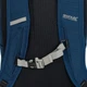 Рюкзак Regatta Survivor 5 25L Синий (1109-5063516031345) - изображение 5