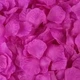 Лепестки роз искусственные, упаковка 1000шт, Purple - изображение 1