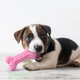 Іграшки для собак Pet Set 6 в 1 з канатами для жування перетягування та розваг - зображення 4