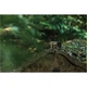 Екшн-камера GoPro HERO 13 Forest Green (CHDHX-133-TH) [154461] - изображение 8