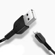Кабель для зарядки Hoco Lightning - Lightning 3 м Чёрный (X20) - изображение 1