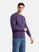 Свитшот Russell Authentic Sweat 2XL R81 Фиолетовый (0R262MR812XL) - изображение 1