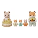 Ігровий набір Sylvanian Families "Сім'я хом'яків" (5856) - изображение 3