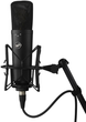 Mikrofon Warm Audio WA-87 R2 Black (850016400598) - obraz 3