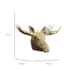 Картонний конструктор Cartonic 3D Puzzle Moose 308 елементів (CARTMOOSE) - зображення 6