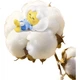 Влажные салфетки для лица FulCotton Cotton Soft Family, 100% чистый хлопок, одноразовые, для сухого и влажного использования, большая вместимость, 300 листов*1 упаковка - изображение 1