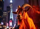 Календарь настенный квартальный на 2027 год на три пружины, Apriori, год Козы, символ года , год Овцы 29,7х61см , 9 вид - изображение 2