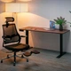 Стіл Mealux PowerDesk Duo XL Walnut (арт. EVO-252 Duo Walnut/B) - зображення 2