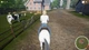 Ключ активації My Life: Farm Vet для Xbox One/Series S/X - зображення 8