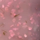 Гель для наращивания ногтей Builder gel Do it с сухоцветами №2 пыльно-розовый 15 мл - изображение 2