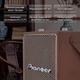 Колонка Pioneer LA-ST1001BL 100W - изображение 3