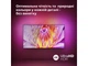 Телевізор Philips 55PUS8919/12 - изображение 12