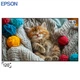 Проекционный экран Epson ELPSC36 рамный натяжной 120" 268x152см 16:9 настенный - изображение 1