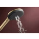 Ручний душ Hansgrohe Raindance Alive Select S 3jet бронза (24500140) - изображение 2