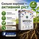 Біодобриво Myco+ Стимулятор росту рослин 12 саше по 8 г Добриво для рослин Біопрепарат Біостимулятори росту рослин - зображення 12