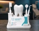 Підставка для візиток стоматолога Tooth Organizer тримач візиток для дантиста, органайзер у формі зуба, декор кабінету стомат - зображення 1