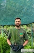 Саженцы Сосны обыкновенной (Pinus sylvestris) Р9 - изображение 7