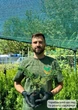 Саженцы Можжевельника китайского Блю Альпс (Juniperus chinensis Blue Alps) Р9 - изображение 10