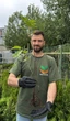 Саженцы смородины красной Валентиновка - поздняя, урожайная, промышленная - изображение 3