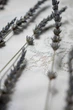 Рушник весільний під ноги Кохання та злагода нитки серебро - зображення 3