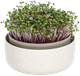 Вазон для вирощування мікрозелені Urbalive MICROGREENS 1606711640C - зображення 1