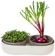 Вазон для вирощування мікрозелені Urbalive MICROGREENS 1606713040 - зображення 1