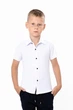 Дитяча сорочка для хлопчика з коротким рукавом NoBrand 116 Білий (p-20696-248383) - изображение 1