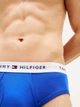 Набір трусів брифів чоловічих бавовняних Tommy Hilfiger 09TF043-61Y(Lime) M 4 шт. Мікс (198296939729) - зображення 7