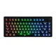 Беспроводная магнитная клавиатура Epomaker HE75 V2 Black, 75%, Hall Effect, Rapid Trigger, 8000 Гц, RGB, (2.4G/Bluetooth/USB) - изображение 1