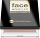 Бронзатор матовый Bell Professional Face Modeller 01 10 г (5902082559078) - изображение 1