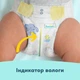 Подгузники Pampers Premium Care Розмір 6 (13-18 кг) 140 шт (8006530223683) Pampers 8006530223683 1054560 - изображение 7