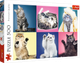 Puzzle Trefl Kociaki 500 elementów (5900511373776) - obraz 1